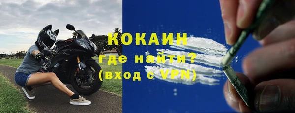 прущие грибы Богородицк