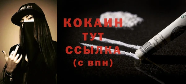 прущие грибы Богородицк