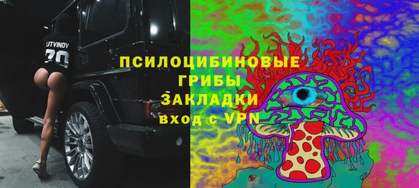 прущие грибы Богородицк