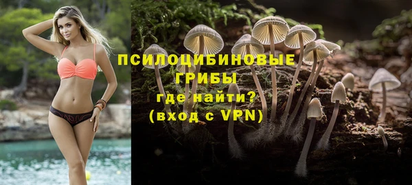 прущие грибы Богородицк