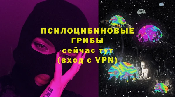 прущие грибы Богородицк