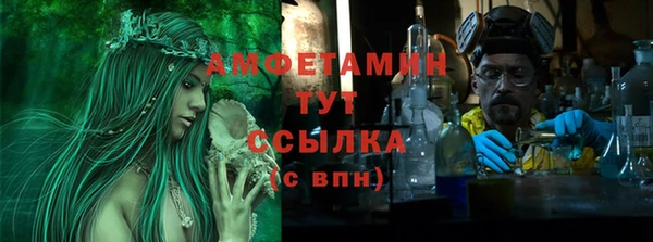 прущие грибы Богородицк