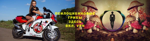 мдма Богданович