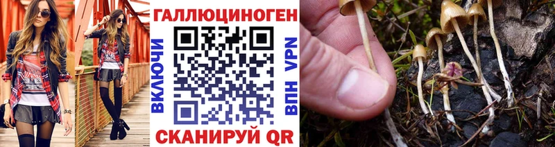 Псилоцибиновые грибы Psilocybine cubensis  Купить  Славск 